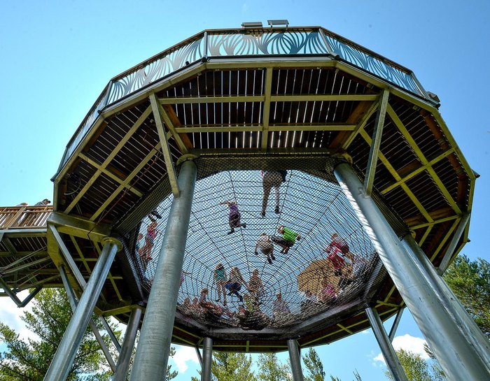 The Wild Center Is Home To The Best Treetop Walk In New York