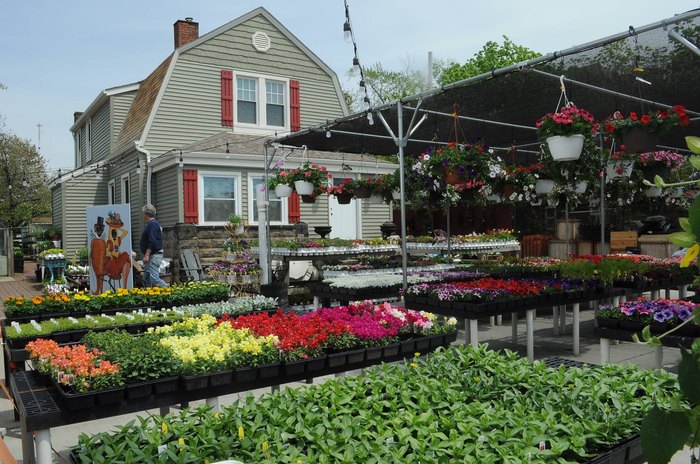 You'll Fall In Love With The Patio Bar At This Garden Center In Cleveland