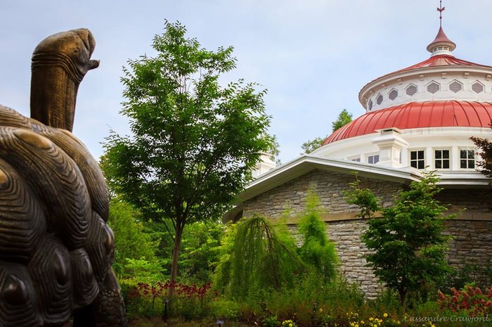 It's International - Cincinnati Zoo & Botanical Garden