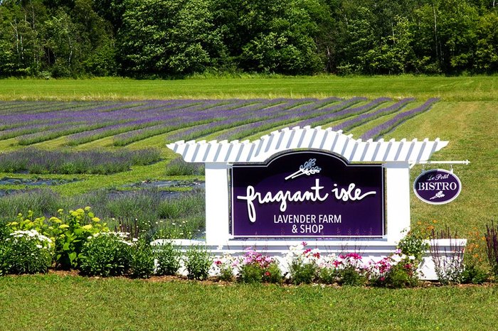 Good Morning from - Fragrant Isle Lavender Farm and Shop