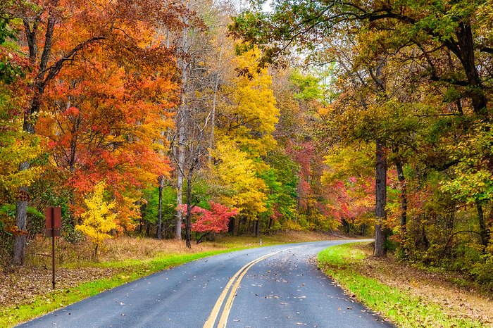 Embark On This Road Trip To The Best Fall Foliage In Virginia