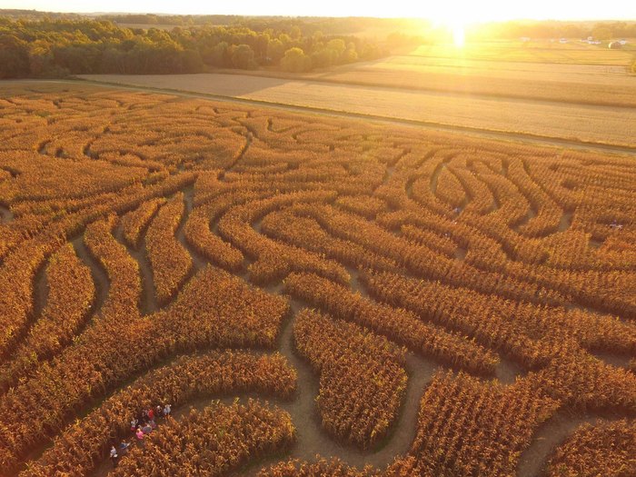 These Are The 9 Best Corn Mazes In Ohio