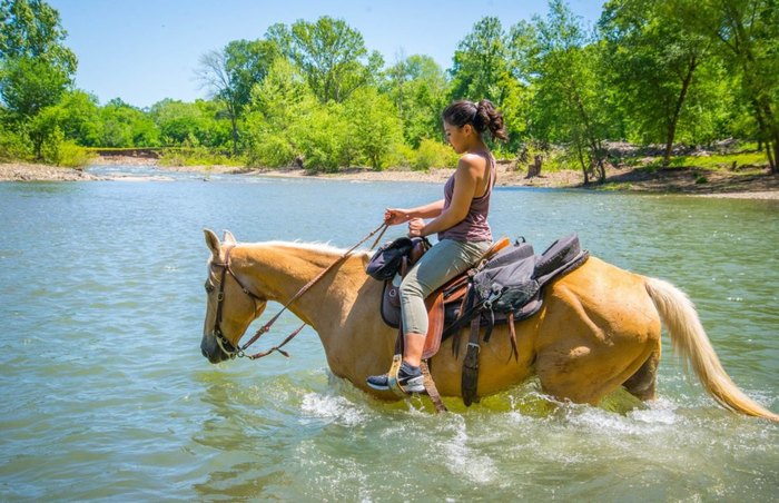 Climb Mountains And Cross Creeks On This Authentic Western Horseback ...