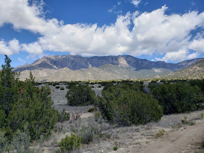 Michael M. Emery Loop Is Best Easy Foothills Hike In New Mexico