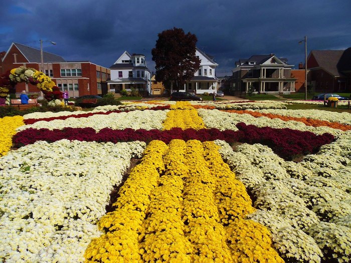 The Mum Festival In Northeast Ohio Is Less Than An Hour From Cleveland