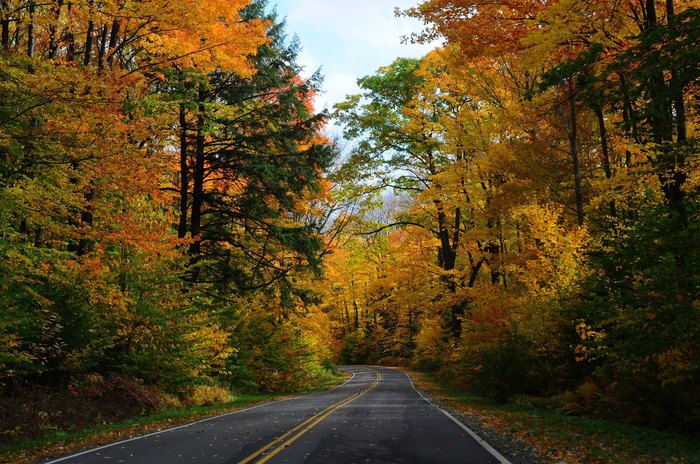 Three Sisters Trail In Allegany State Park Is Best Fall Hike Near Buffalo