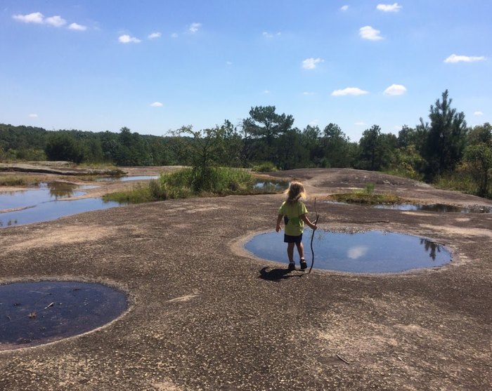 Forty Acre Rock Loop Trail In South Carolina Is Filled With Colorful Pools