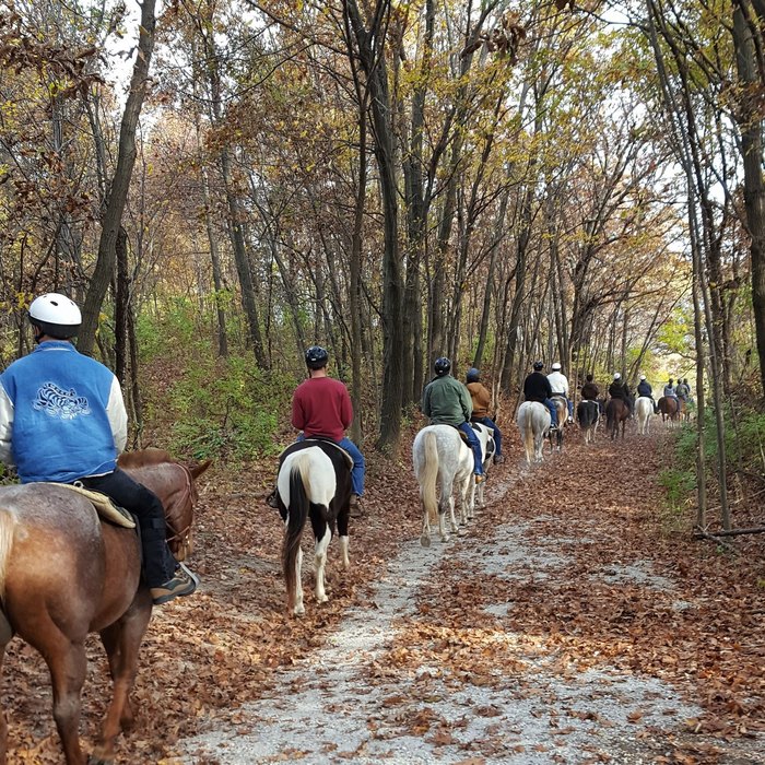 Take An Autumn Iowa Horseback Trail Ride Through Jester Park