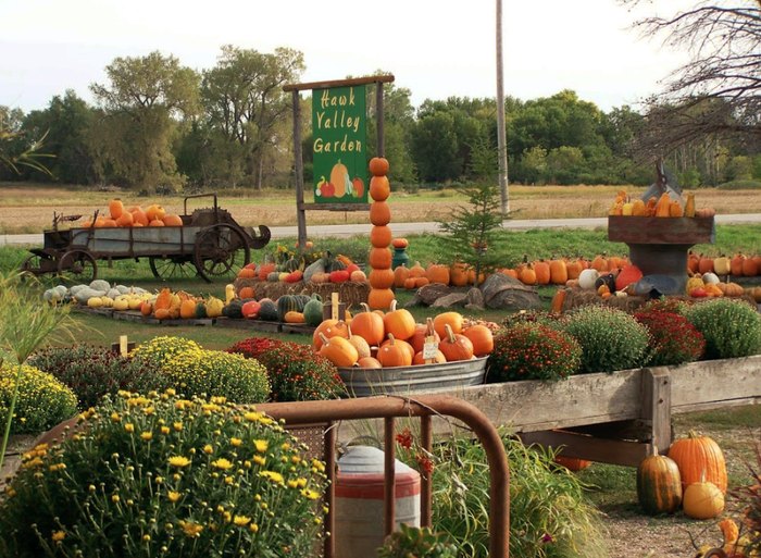 Hawk Valley Garden Is The Best Iowa Pumpkin Patch