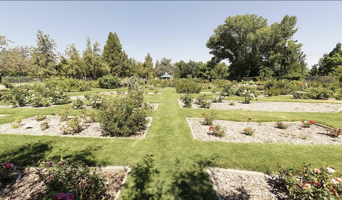 Stroll Through The Rose Garden