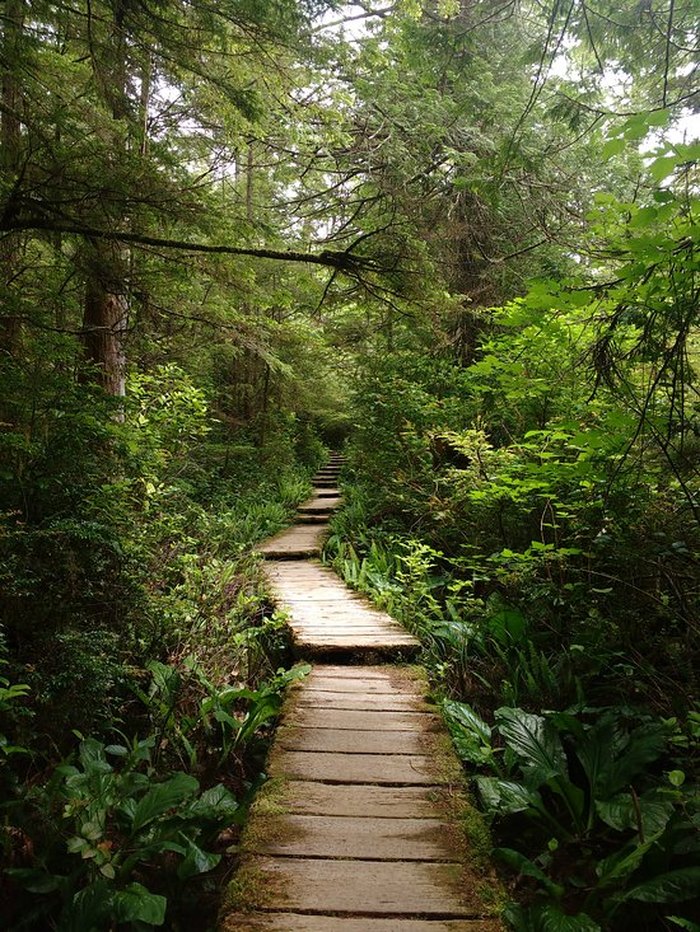 The Ozette Triangle Trail In Washingon Leads To Incredibly Scenic Views