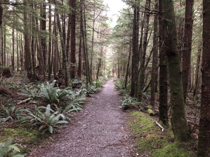 Third Beach In Washington Has Its Very Own Waterfall