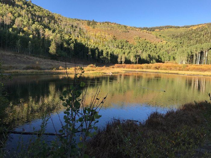 Take The Willow Heights Trail In Utah To See Fall Foliage