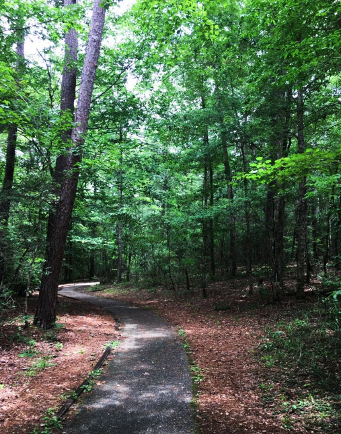 Ed Lisenby Walking Trail Is Most Peaceful Hike In Alabama