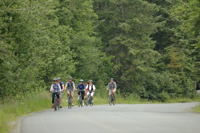 biking tours haines alaska