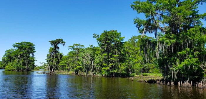 The Best Floating Cabins In Louisiana Are At Bayou Segnette State Park