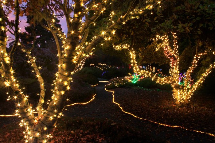 The Festival Of Lights In Northern California Is A Magical Experience