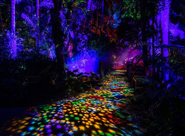 Experience The NightGarden in Florida At Fairchild Tropical Gardens