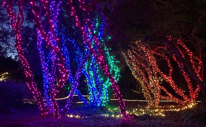 The Festival Of Lights In Northern California Is A Magical Experience