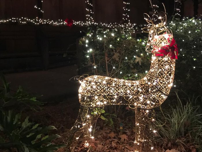 The Hattiesburg Zoo Has The Best Christmas Lights Display In Mississippi