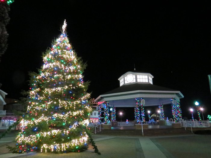 Celebrate Christmas in Rehoboth Beach At The Tallest Tree In Delaware