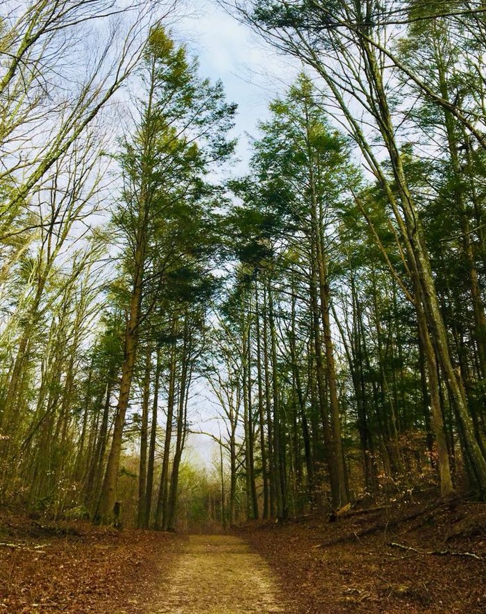 Where the River Roars: Exploring the Mystical Machimoodus State Park