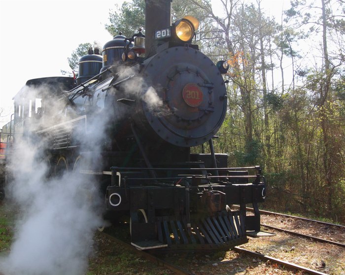 Piney Woods Express Steam