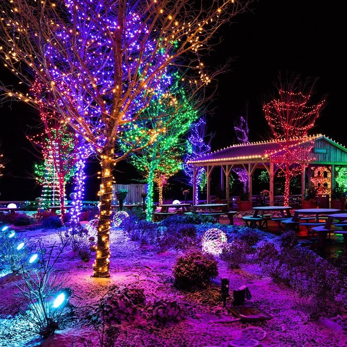 Enjoy A Unique Light Display At ChristmasTime At The Ark Encounter In ...