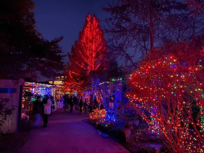 Patti's Christmas Lights Is A Festive Holiday Tradition In Kentucky