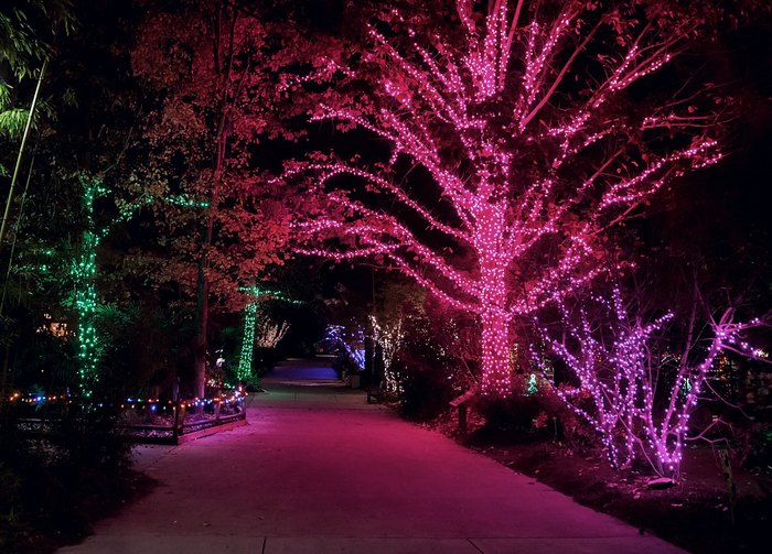 Million Lights At Riverbanks Zoo Lights Before Christmas In South Carolina