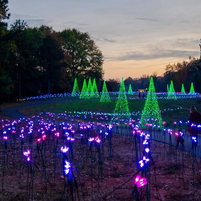 Visit Daniel Stowe Botanical Garden In North Carolina At Christmas