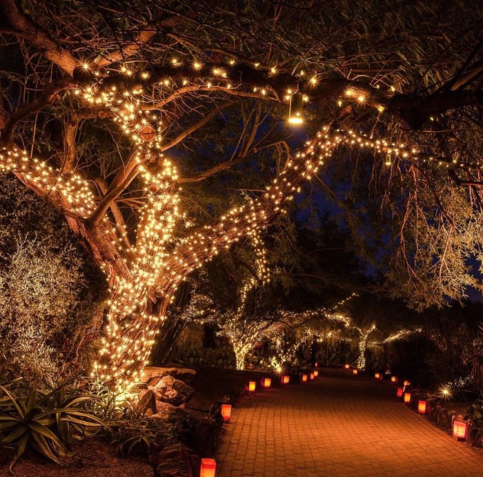 Christmas At The Botanical Garden