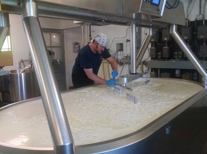 plymouth cheese factory tour