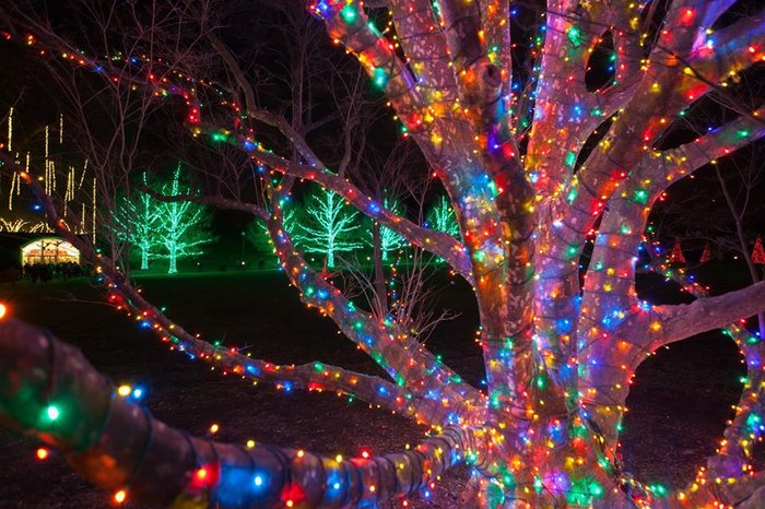 Longwood Gardens: The Best Christmas Lights In Pennsylvania