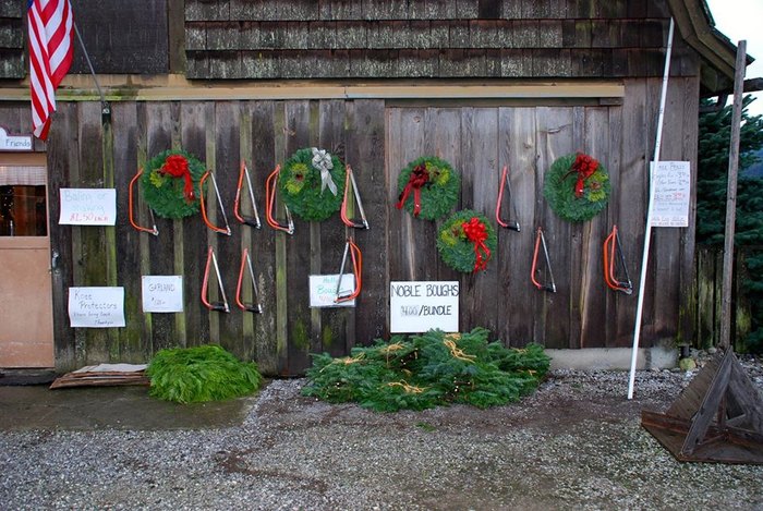 Visit Alpine Meadows Christmas Tree Farm In Washington