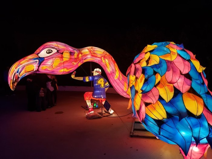 Experience A Beautiful Lantern Festival In Florida This Christmas