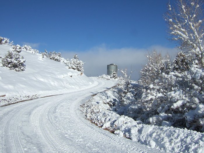 The Most Snowfall In New Mexico Was The Albuquerque Blizzard