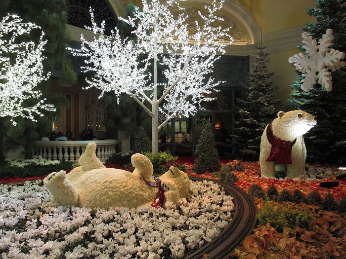 Christmas at the Bellagio Botanical Gardens 2023-2024 » Local Adventurer