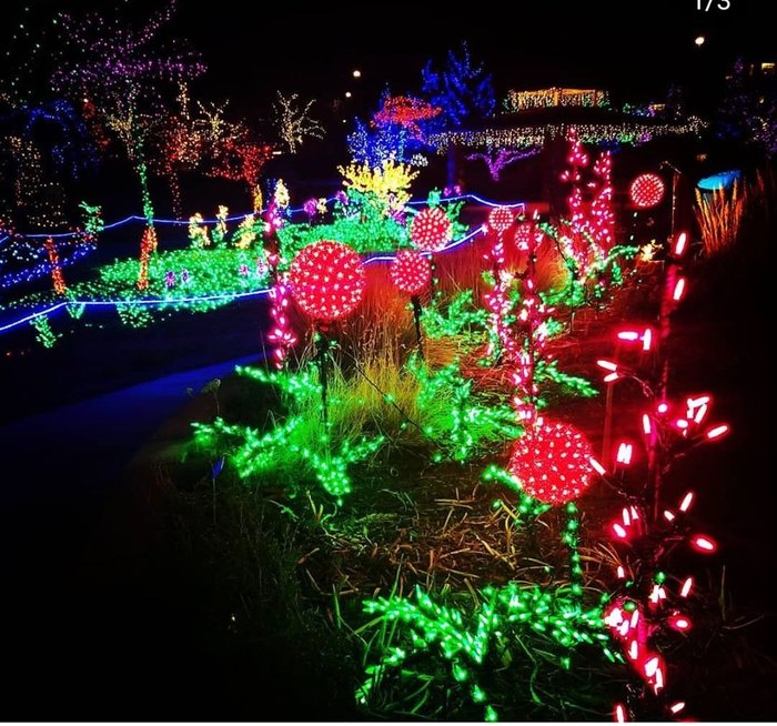 The Garden Of Lights In Colorado Is A Magical Christmas Tradition