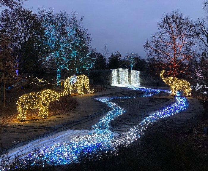 Visit The Christmas Lights At Franklin Park Conservatory In Ohio