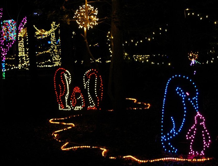 Maryland's Annmarie Garden In Lights Is A Fairy Christmas Display