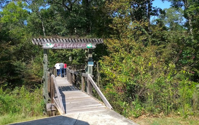 Best Hikes In Louisiana To Help You Reflect On The Year Ahead