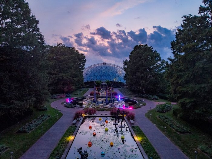 Walk Through A Sea Of Orchids At This Orchid Show In Missouri