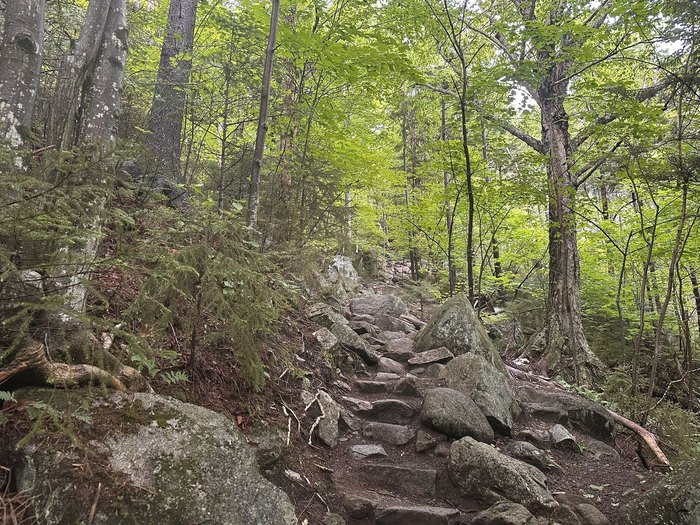 Artists Bluff In New Hampshire Is A Short Hike With Masive Payoff