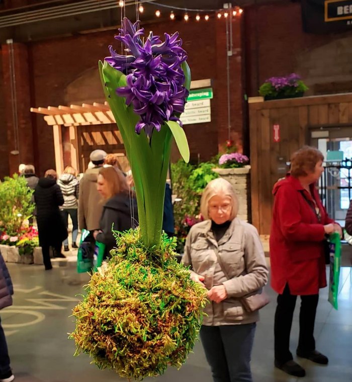Walk Through A Sea Of Flowers At The Maine Flower Show's Cascade Of Color