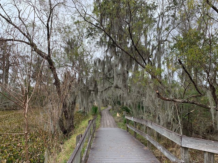 The Bayou Coquille Trail Near New Orleans Will Take You To A Beautiful ...