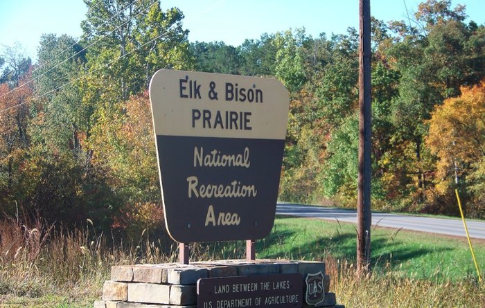 The Elk & Bison Prairie Is An Incredible Wildlife Experience In Kentucky