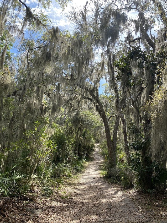 Hike The Hammock Trail At Fort Caroline National Memorial In Florida