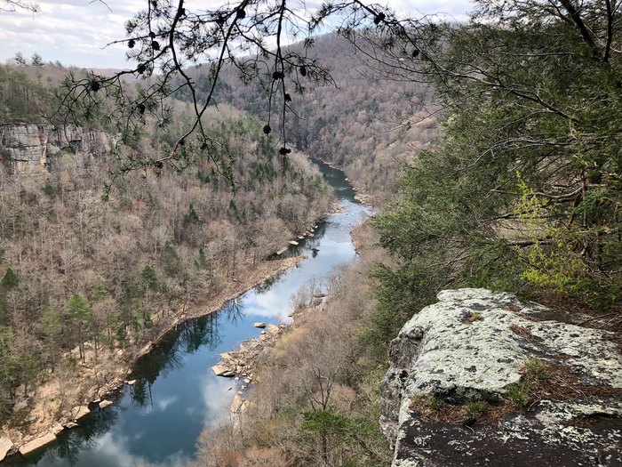 Follow The River On This Simple 4-Mile Hike Through The Woods In Tennessee