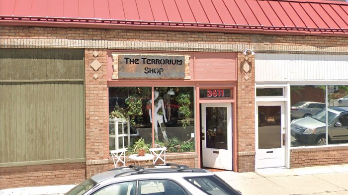 The Terrorium Shop In Colorado May Be The Quirkiest Plant Shop In USA